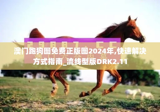 澳门跑狗图免费正版图2024年,快速解决方式指南_流线型版DRK2.11