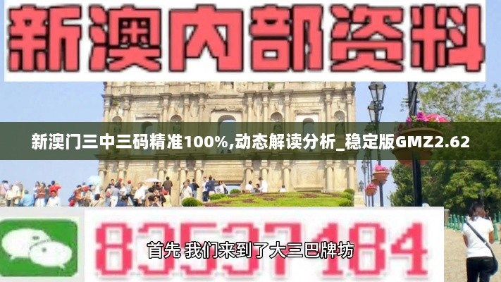 新澳门三中三码精准100%,动态解读分析_稳定版GMZ2.62