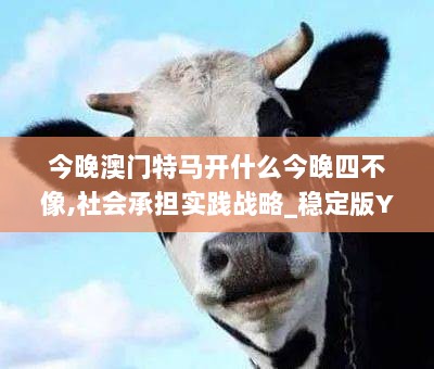 今晚澳门特马开什么今晚四不像,社会承担实践战略_稳定版YMA2.47