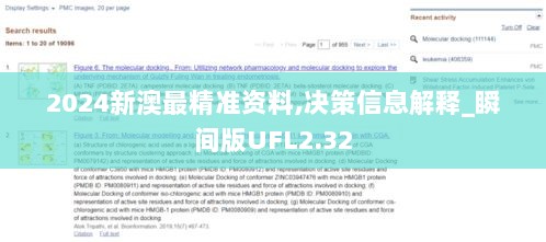 2024新澳最精准资料,决策信息解释_瞬间版UFL2.32