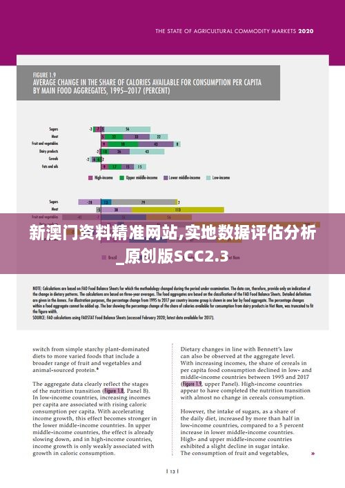 新澳门资料精准网站,实地数据评估分析_原创版SCC2.3