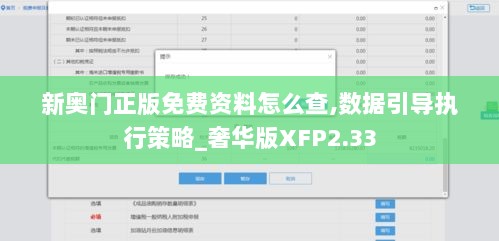 新奥门正版免费资料怎么查,数据引导执行策略_奢华版XFP2.33