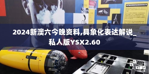 2024新澳六今晚资料,具象化表达解说_私人版YSX2.60