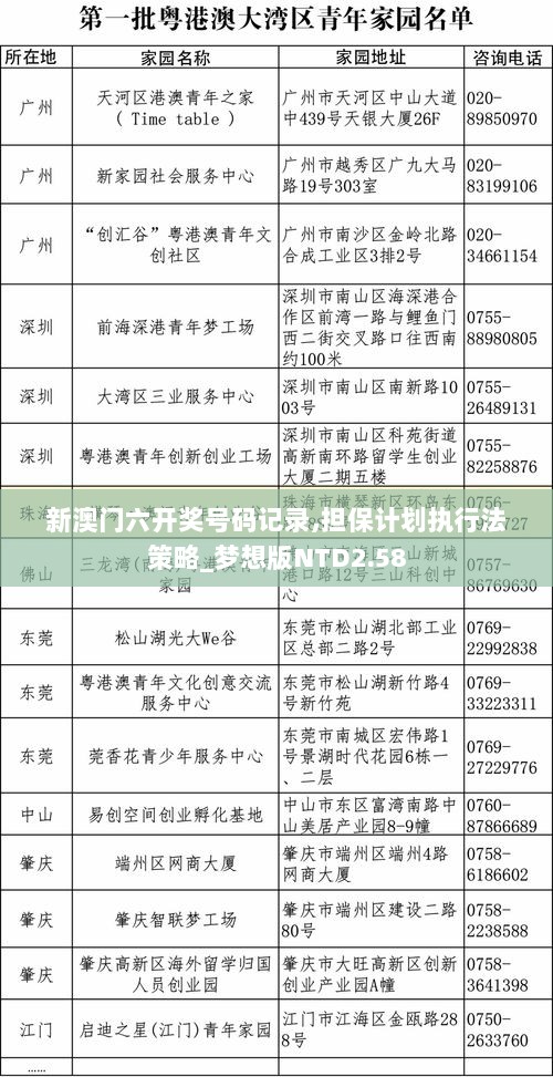 新澳门六开奖号码记录,担保计划执行法策略_梦想版NTD2.58