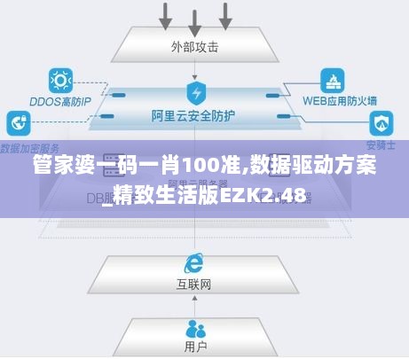 管家婆一码一肖100准,数据驱动方案_精致生活版EZK2.48