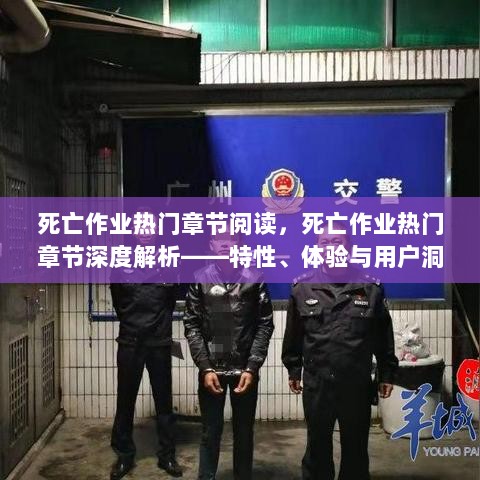 死亡作业，热门章节深度解析与用户洞察