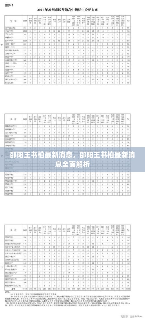 邵阳王书柏最新消息全面解析