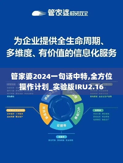 管家婆2024一句话中特,全方位操作计划_实验版IRU2.16