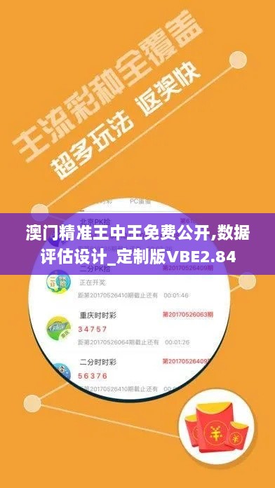 澳门精准王中王免费公开,数据评估设计_定制版VBE2.84