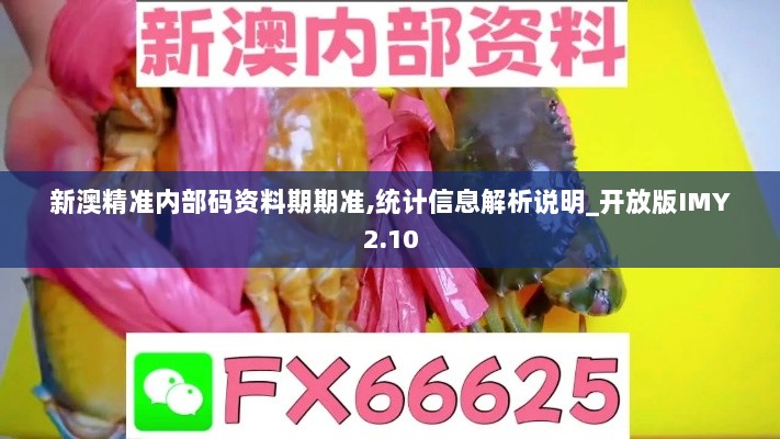 新澳精准内部码资料期期准,统计信息解析说明_开放版IMY2.10