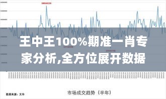 王中王100%期准一肖专家分析,全方位展开数据规划_量身定制版QUN2.79