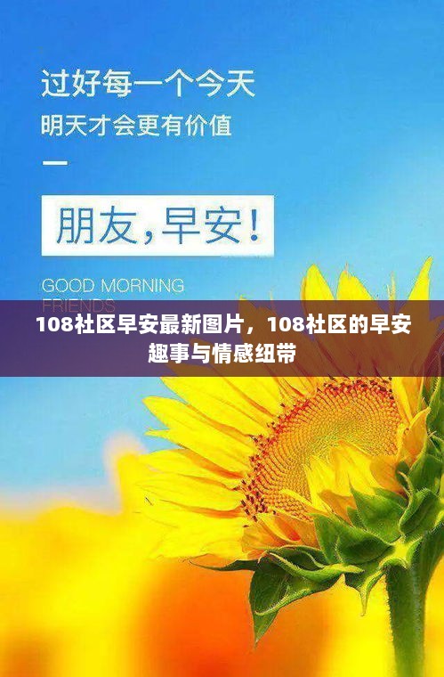 108社区早安图片分享，趣事与情感纽带交织的温馨早晨