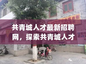 共青城人才新天地，探索隐藏在小巷的特色小店与最新招聘机会