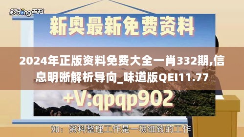 2024年正版资料免费大全一肖332期,信息明晰解析导向_味道版QEI11.77