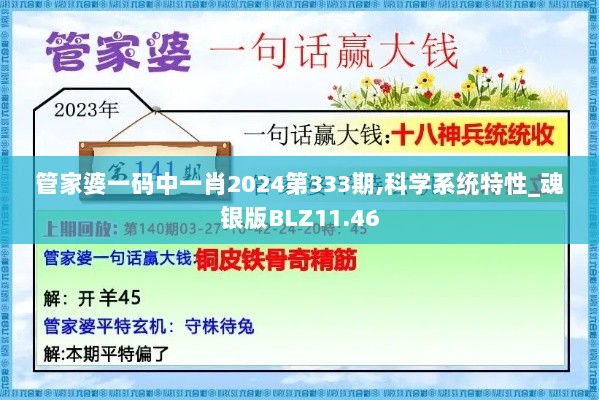 管家婆一码中一肖2024第333期,科学系统特性_魂银版BLZ11.46