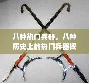 八种历史上的热门兵器概览