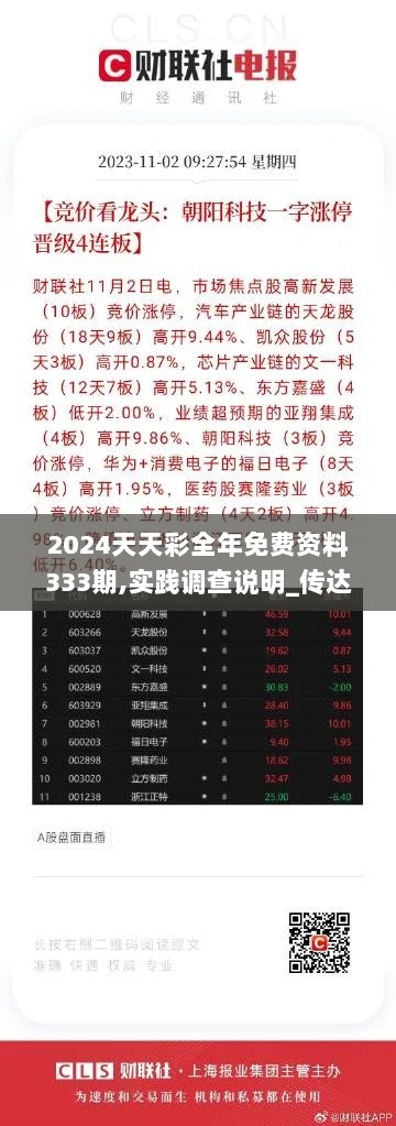 2024天天彩全年免费资料333期,实践调查说明_传达版BOK11.14