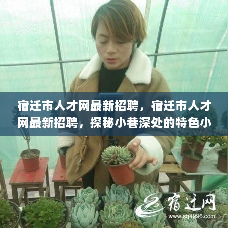 宿迁市人才网最新招聘，探秘小巷深处的特色小店招聘信息