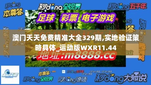 澳门天天免费精准大全329期,实地验证策略具体_运动版WXR11.44