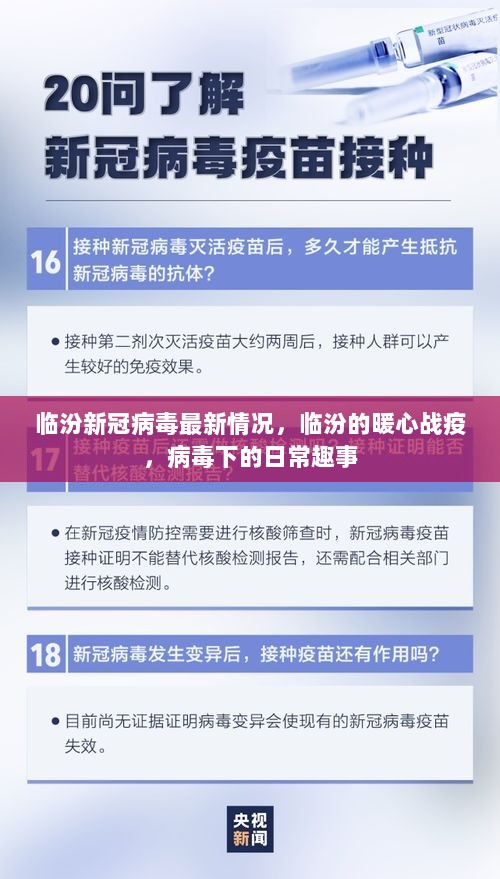 临汾战疫，暖心日常与病毒下的趣事最新报道