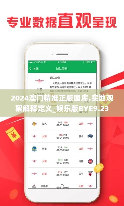 2024澳门精准正版图库,实地观察解释定义_娱乐版BYE9.23