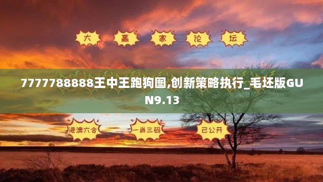 7777788888王中王跑狗图,创新策略执行_毛坯版GUN9.13