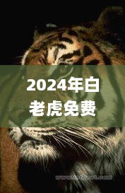 2024年白老虎免费公开,持续改进策略_编程版FJE9.22