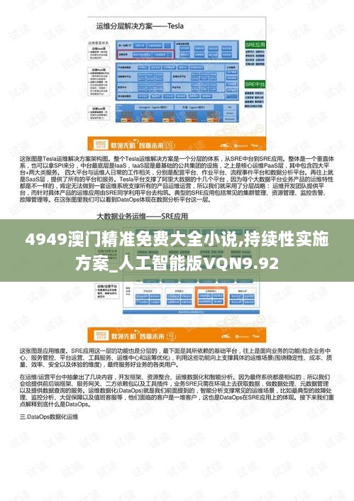 4949澳门精准免费大全小说,持续性实施方案_人工智能版VQN9.92