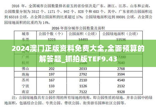 2024澳门正版资料免费大全,全面预算的解答题_抓拍版TEF9.43