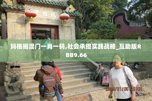 妈祖阁澳门一肖一码,社会承担实践战略_互助版RBB9.66