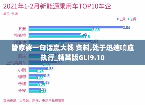 管家婆一句话赢大钱 资料,处于迅速响应执行_精英版GLI9.10