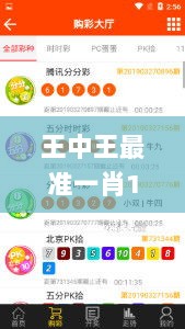 王中王最准一肖100免费公开,策略优化计划_外观版RCR9.44