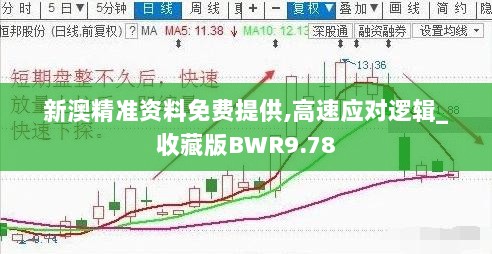 新澳精准资料免费提供,高速应对逻辑_收藏版BWR9.78