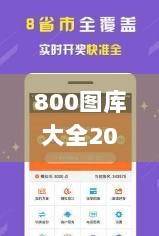 800图库大全2024年11月港澳,实地验证实施_创意版ICF9.85