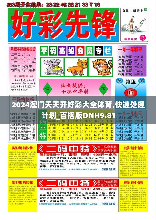 2024澳门天天开好彩大全体育,快速处理计划_百搭版DNH9.81