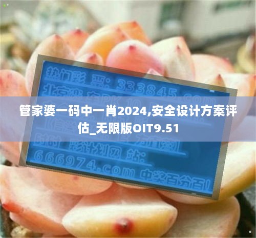 管家婆一码中一肖2024,安全设计方案评估_无限版OIT9.51