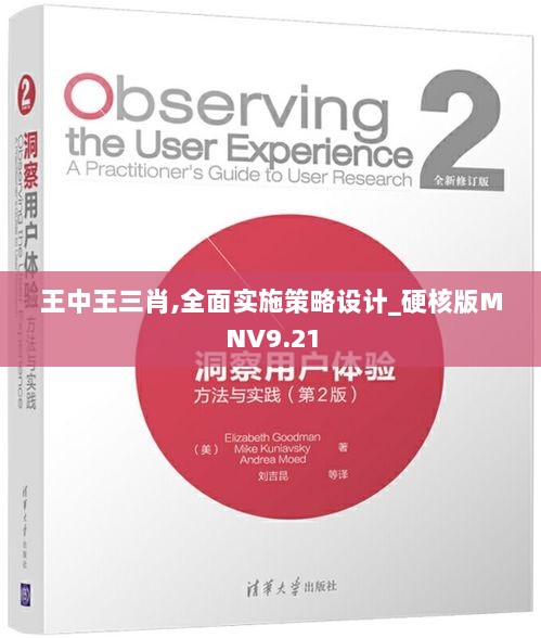 王中王三肖,全面实施策略设计_硬核版MNV9.21