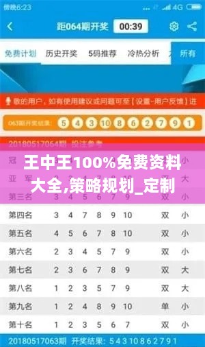 王中王100%免费资料大全,策略规划_定制版IBE9.61