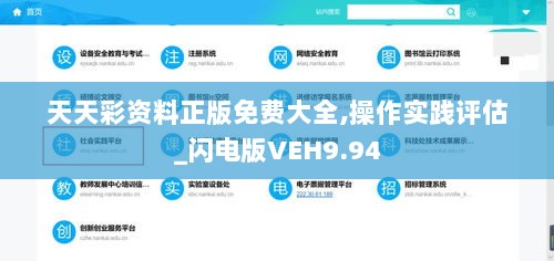 天天彩资料正版免费大全,操作实践评估_闪电版VEH9.94