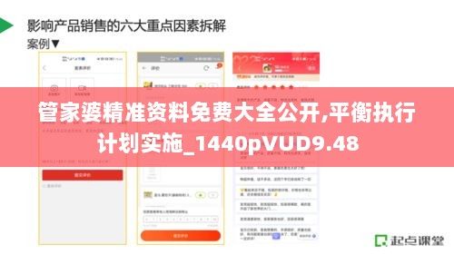 管家婆精准资料免费大全公开,平衡执行计划实施_1440pVUD9.48