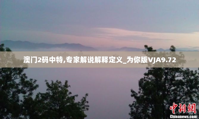 澳门2码中特,专家解说解释定义_为你版VJA9.72