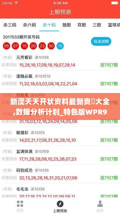 新澳天天开状资料最新资枓大全,数据分析计划_特色版WPR9.82