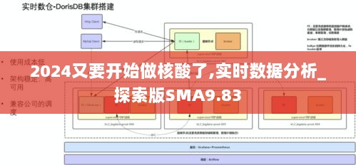 2024又要开始做核酸了,实时数据分析_探索版SMA9.83