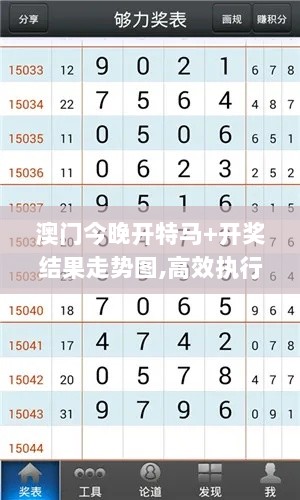 澳门今晚开特马+开奖结果走势图,高效执行方案_拍照版ZCH9.41