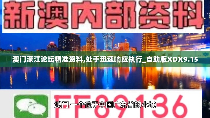 澳门濠江论坛精准资料,处于迅速响应执行_自助版XDX9.15