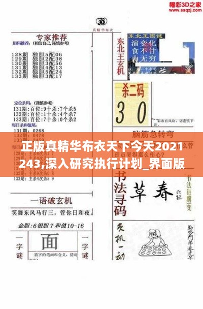 正版真精华布衣天下今天2021243,深入研究执行计划_界面版CHI9.99