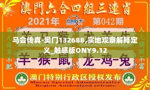 马会传真-奥冂132688,实地观察解释定义_触感版ONY9.12