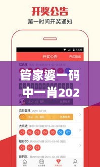 管家婆一码中一肖2024第330期,数据解析引导_日常版VEZ11.36