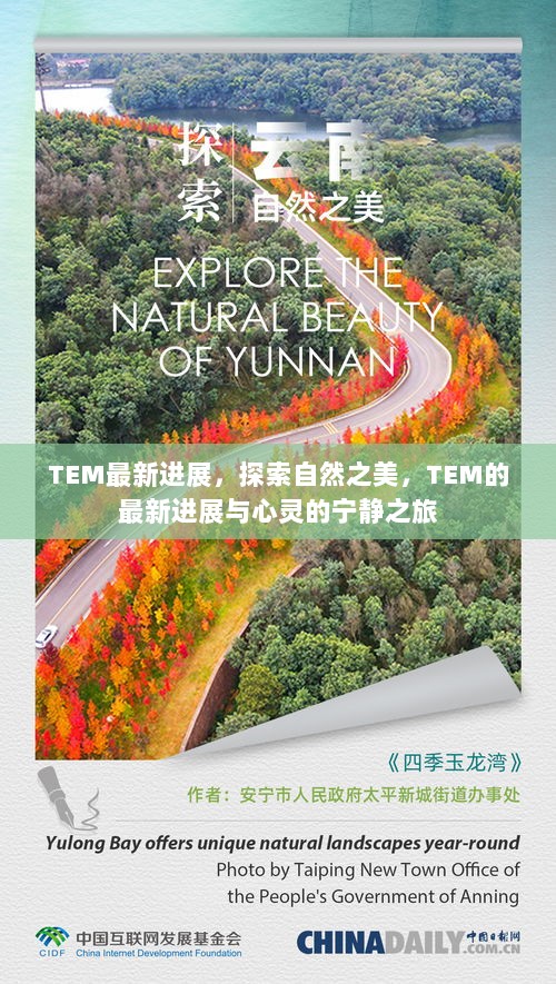 TEM最新进展，探索自然之美与心灵的宁静之旅