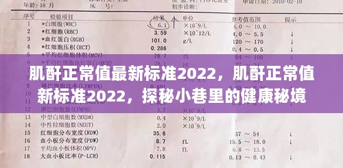 2022年肌酐正常值最新标准，探秘健康秘境的医学新进展